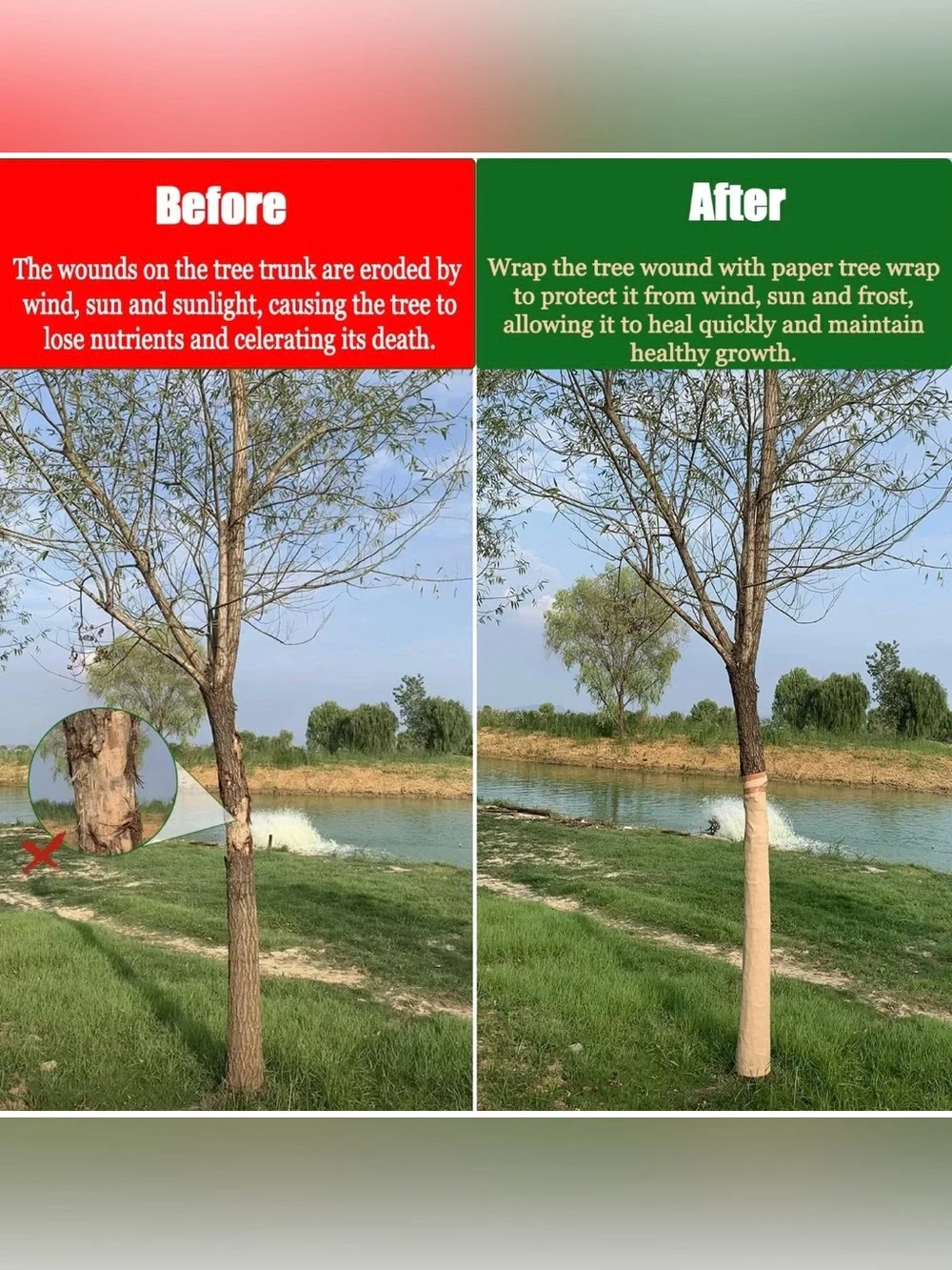 213 Ft Weather Resistant Tree Bark Repair Wrap - Protects Trunk from Frost & Dee